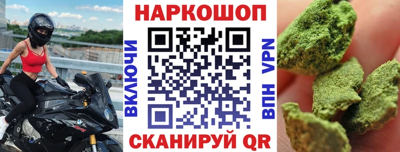 Где купить наркоту Новороссийск Псилоцибиновые грибы  А ПВП  ГАШИШ  гидра как зайти  МЕФ  Cocaine  Конопля 