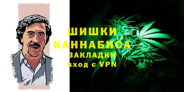 spice Верея