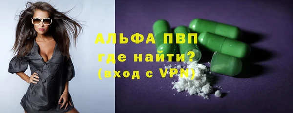 spice Верея
