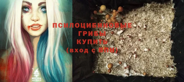 хмурый Бородино