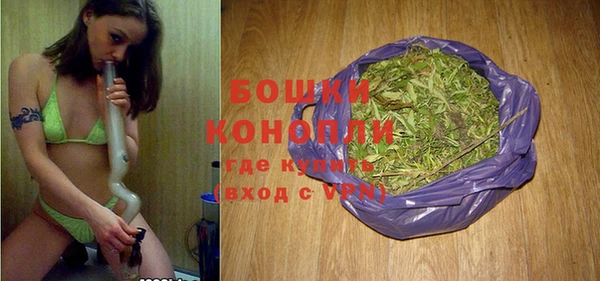 spice Верея