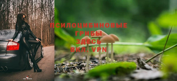 spice Верея