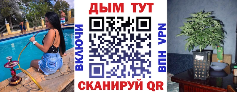 Канабис гибрид Новороссийск